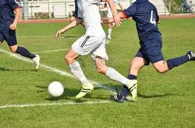 独家揭秘,双色球第,期必中红球,足彩网,足彩网首页,足彩网官网