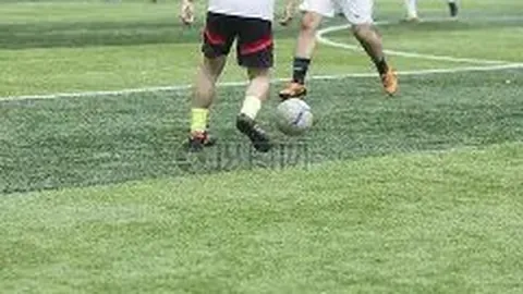 【宅友必看】2026年03月29期精准预测：3D和值与尾数大揭秘，加油冲刺大奖！