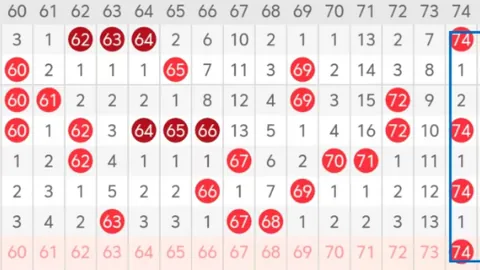 第2026028期 2026028期双色球虎哥推荐：精选61