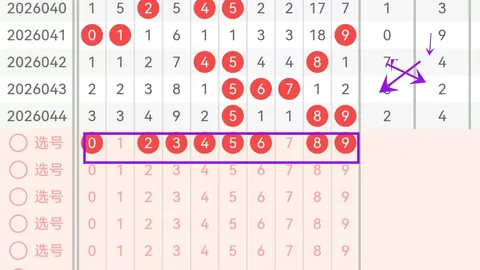 中国足彩网